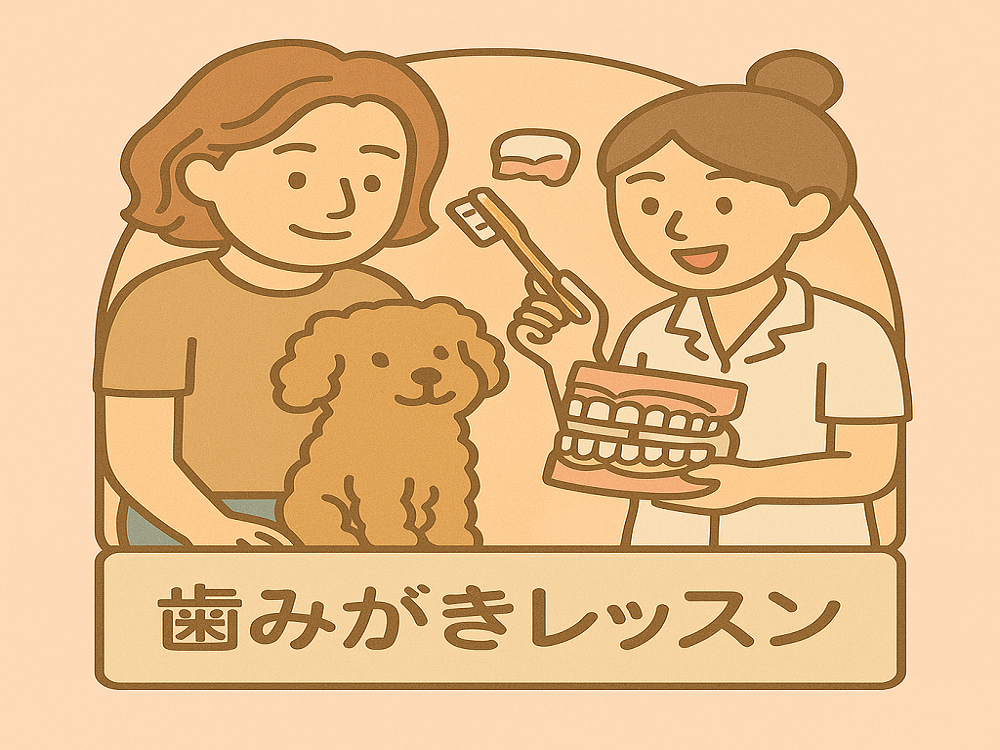 歯磨き相談歯磨き付き