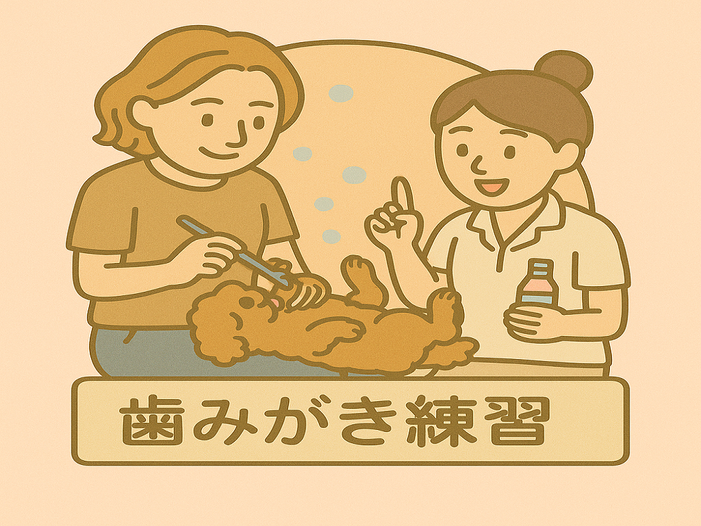 歯磨き相談歯磨き付き