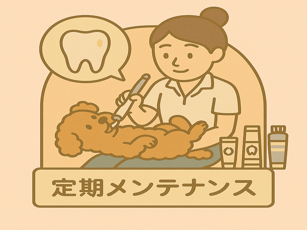 歯磨き相談歯磨き付き