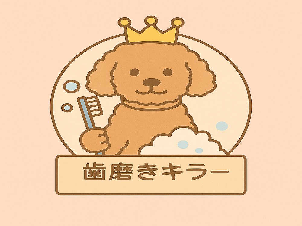 歯磨き相談歯磨き付き