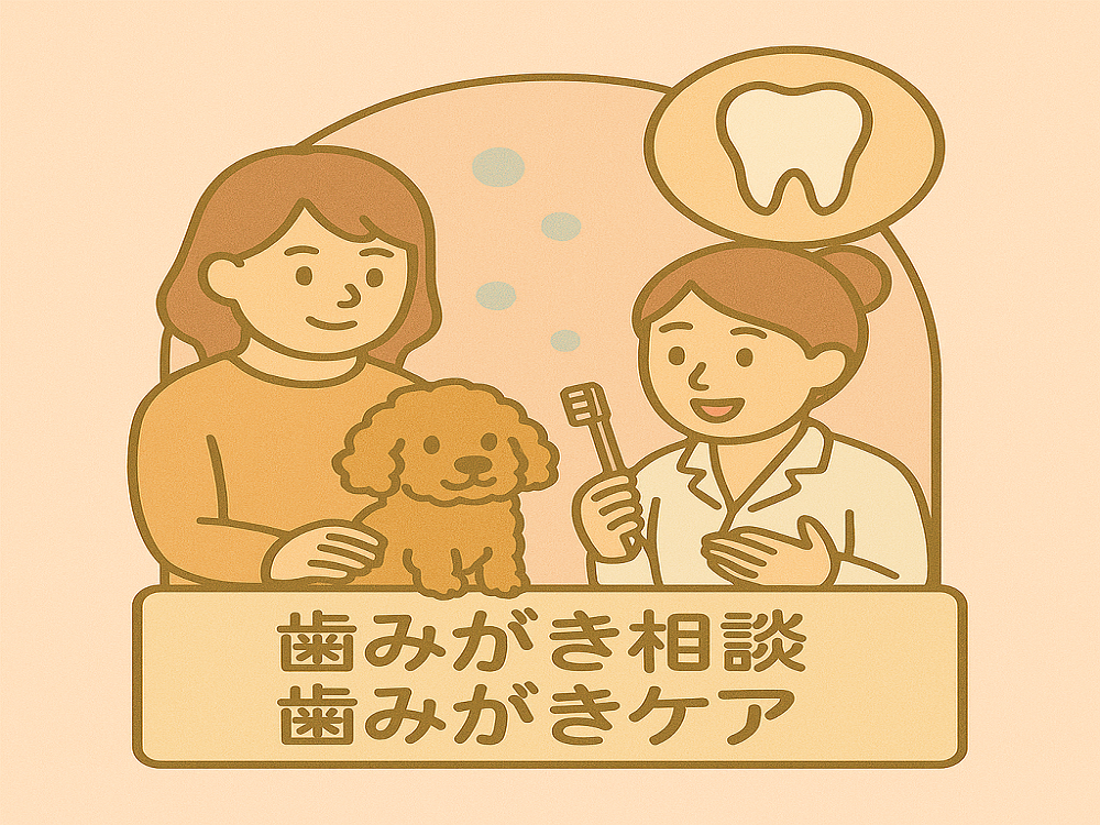 歯磨き相談歯磨き付き
