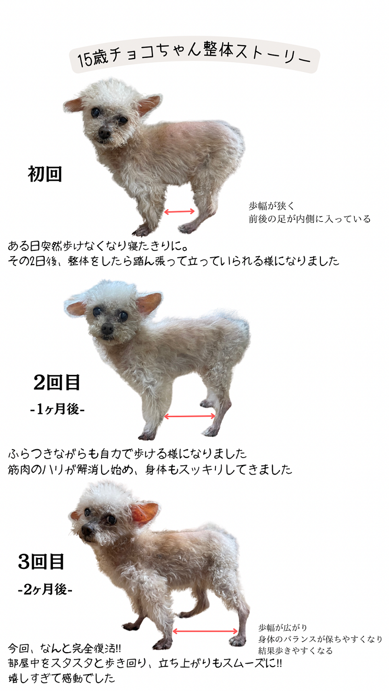 温灸マッサージとは