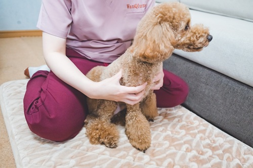 温灸マッサージとは