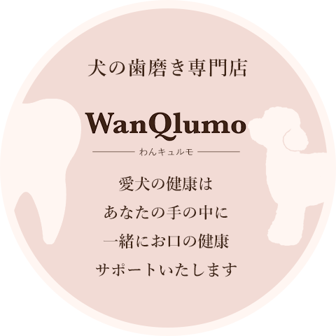 ワンちゃんの予防歯科