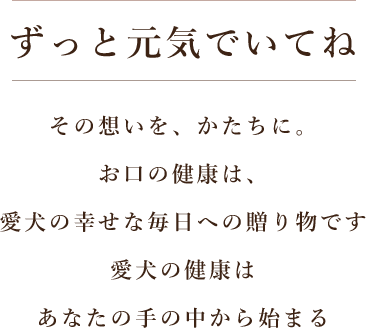 ワンちゃんの予防歯科