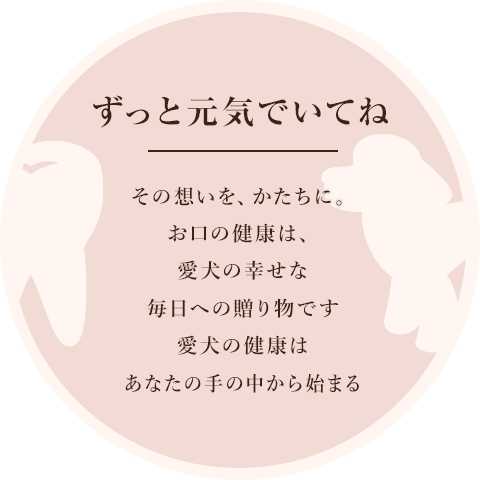 ワンちゃんの予防歯科