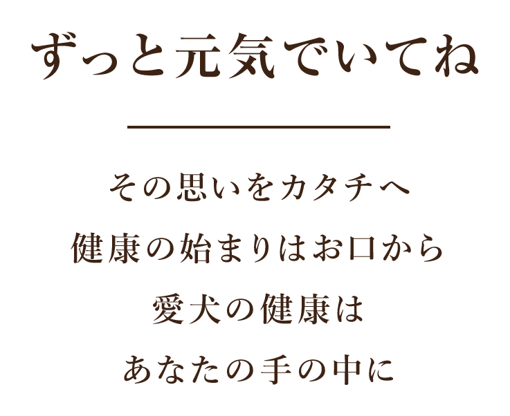 ワンちゃんの予防歯科