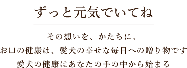 ワンちゃんの予防歯科