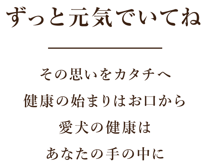 ワンちゃんの予防歯科